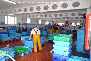 11 SANTA POLA PORT DE PECHE (31)